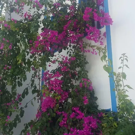 Отель Mia Blue